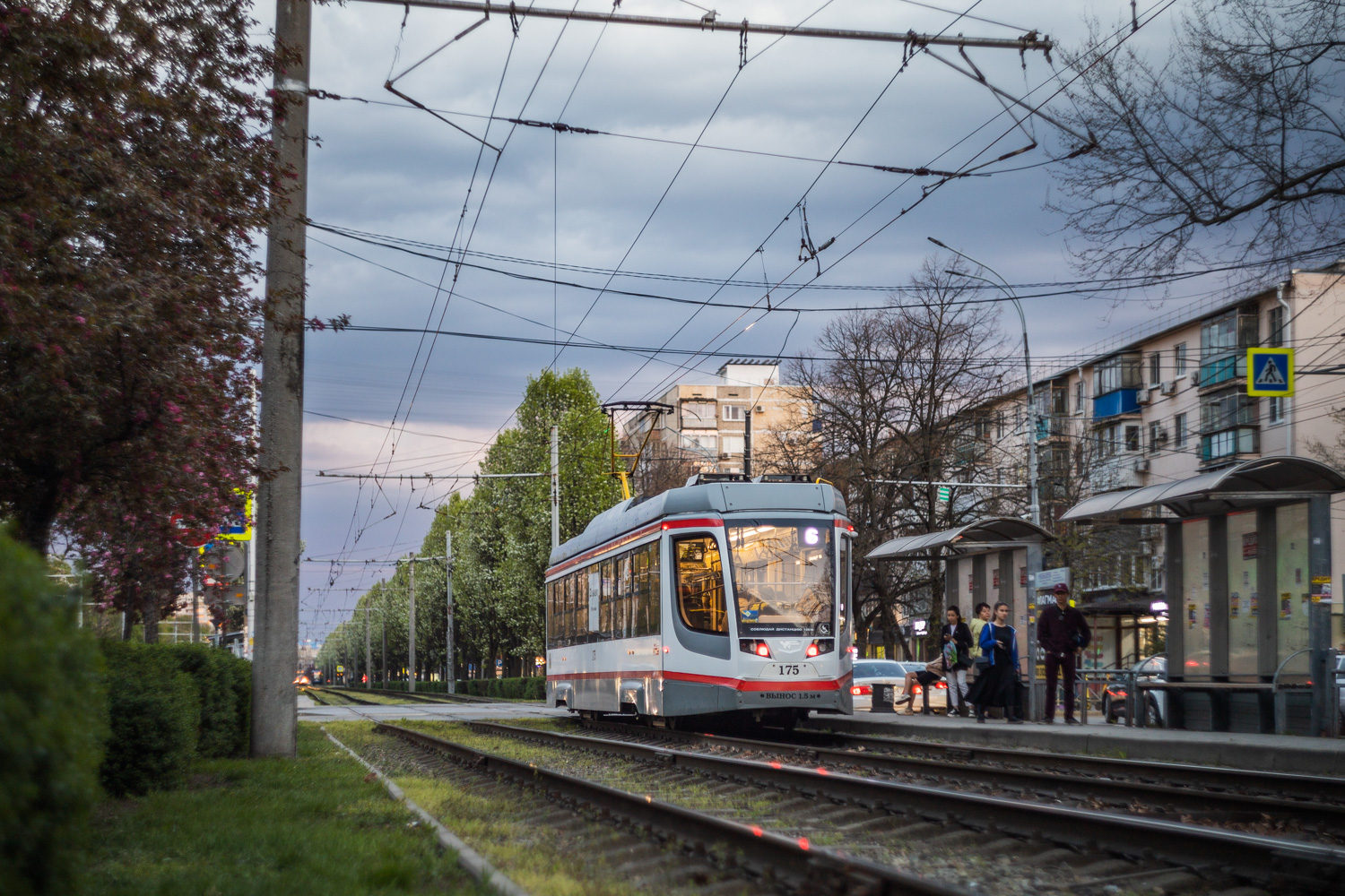 Krasnodar, 71-623-04 № 175 Krasnodar, 71-623-04 № 175