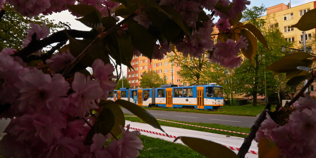 Фотозарисовки