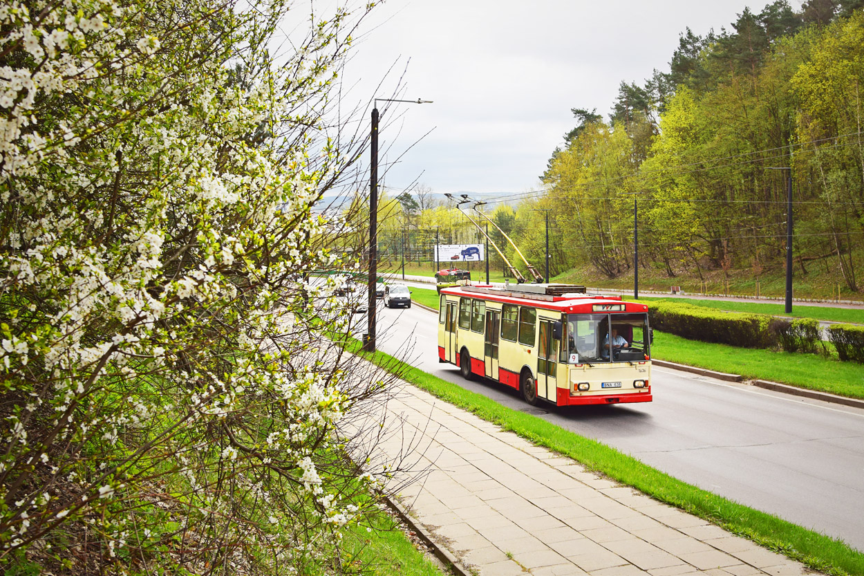 Wilno, Škoda 14Tr13/6 Nr 1636