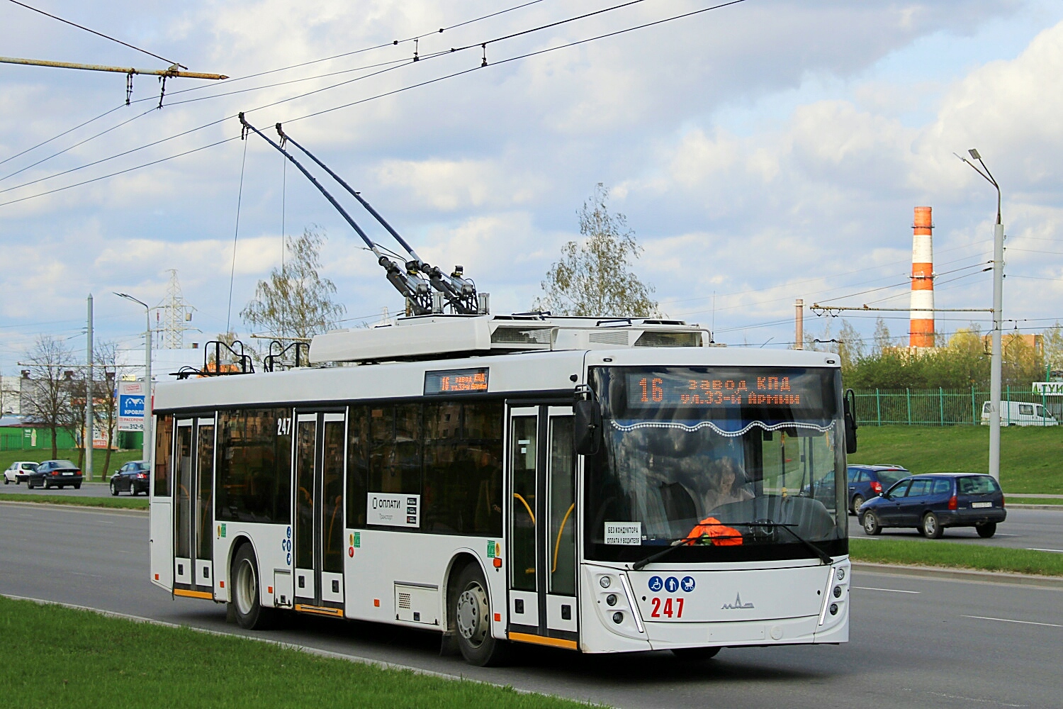 Витебск, МАЗ-203Т70 № 247