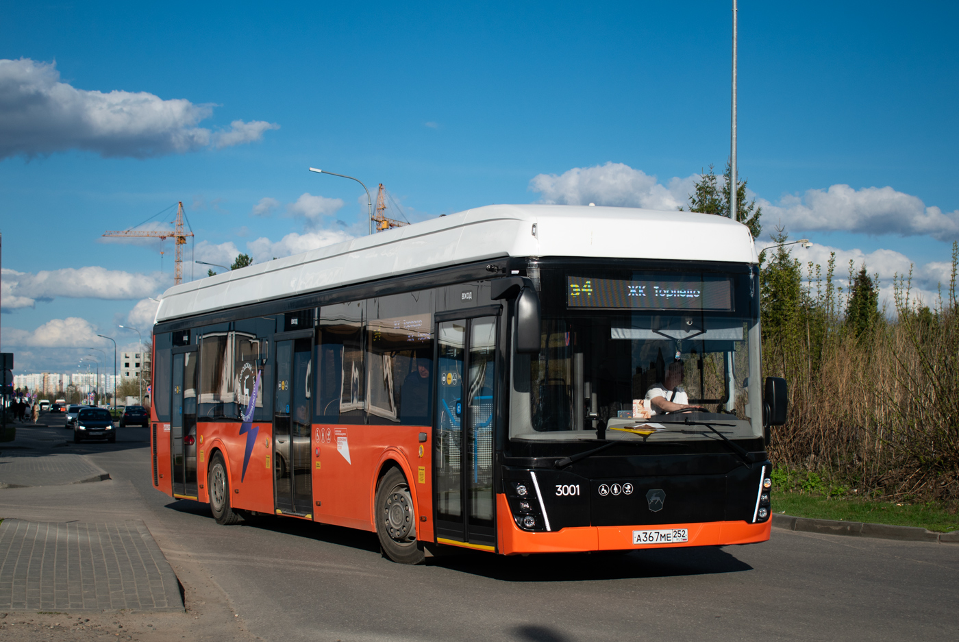 Нижний Новгород, ЛиАЗ-6274 № 3001