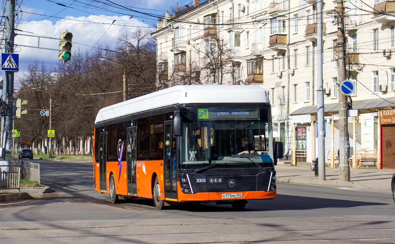 Нижний Новгород, ЛиАЗ-6274 № 3009