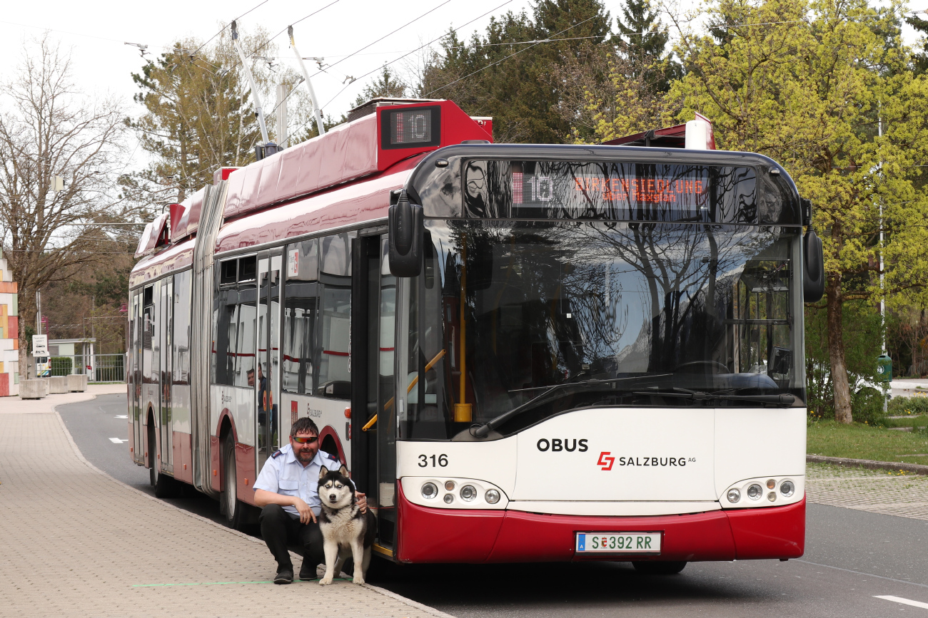 Работники электротранспорта; Транспорт и животные