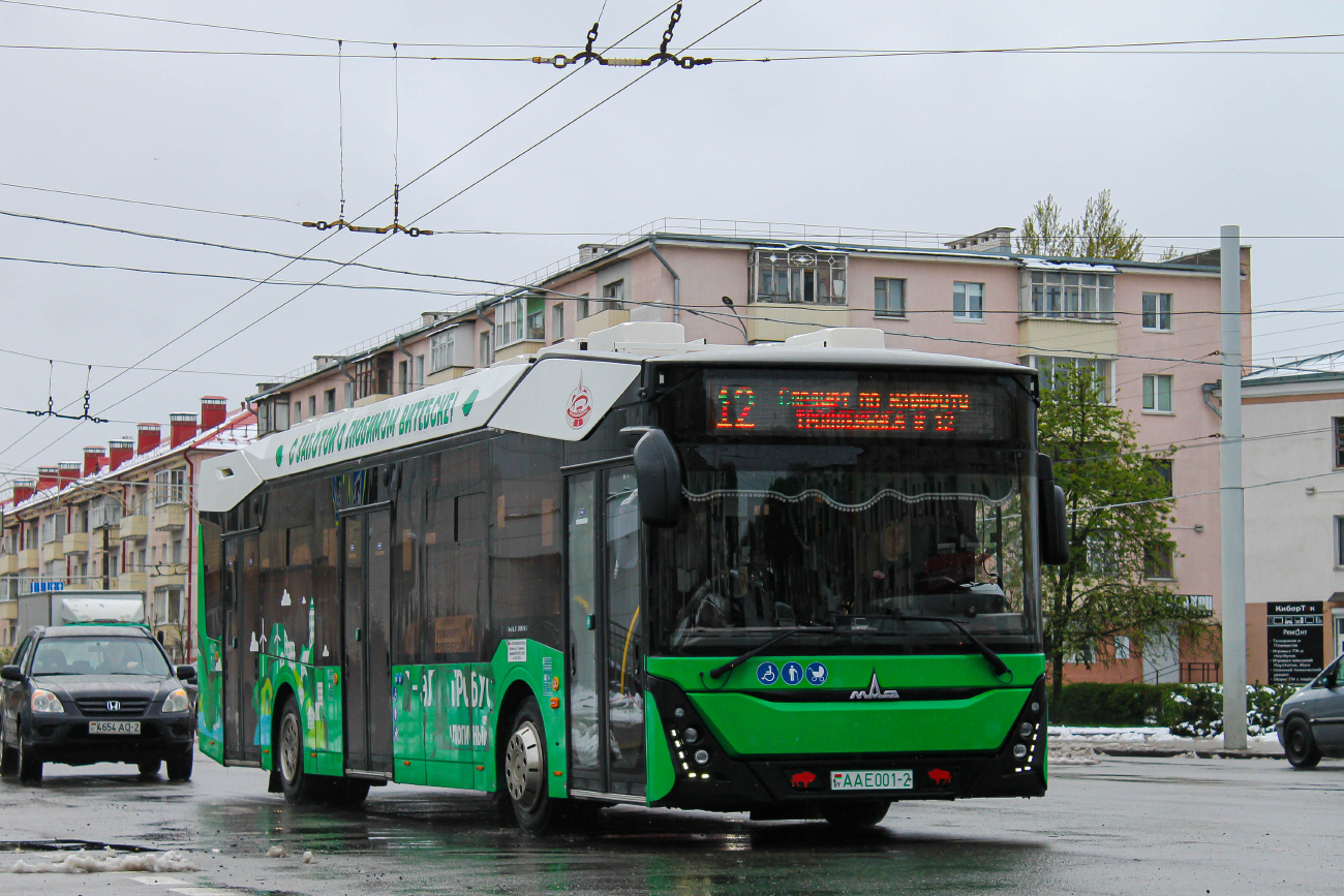 Vitebsk, MAZ-303E10 № АА Е001-2