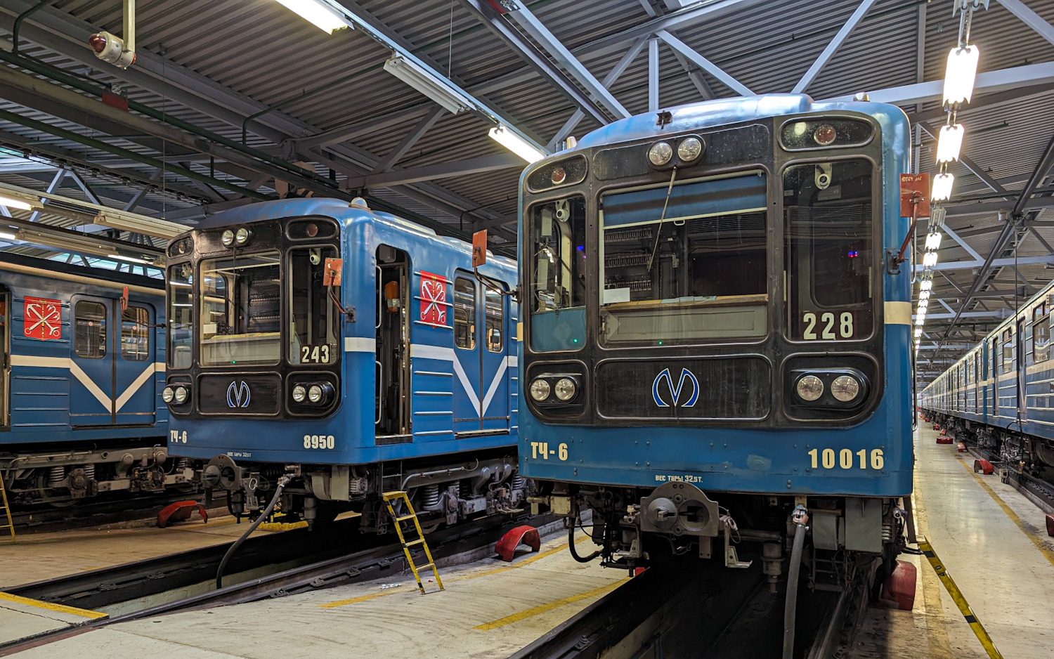 Санкт-Петербург, 81-717.5 (ЛВЗ/ВМ) № 10016