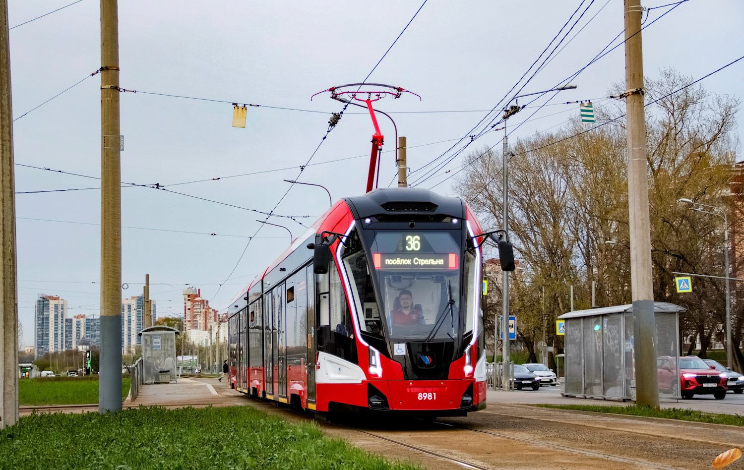 Санкт-Петербург, 71-931М «Витязь-М» № 8981