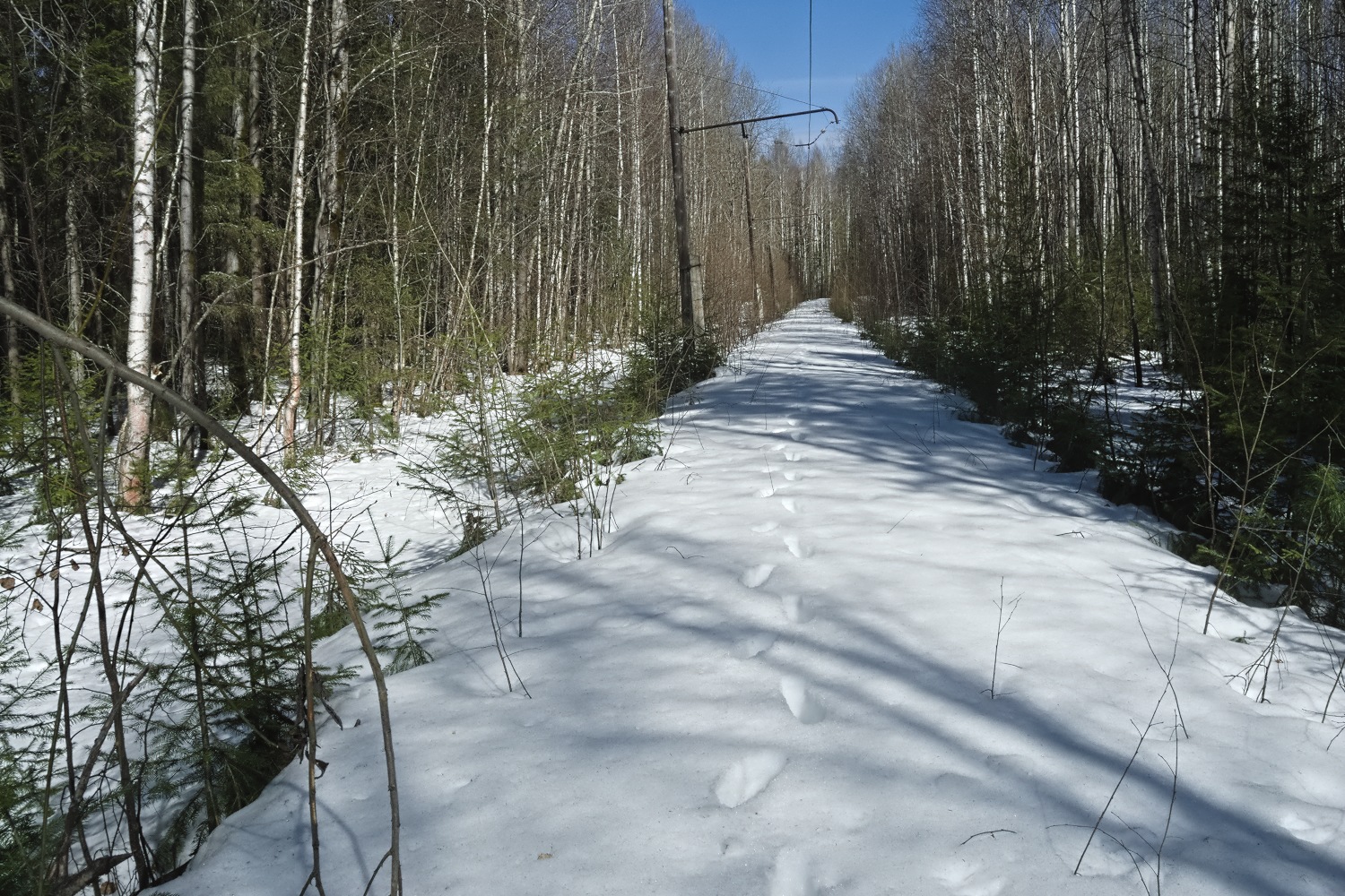 Volchansk — Tramway Lines and Infrastructure