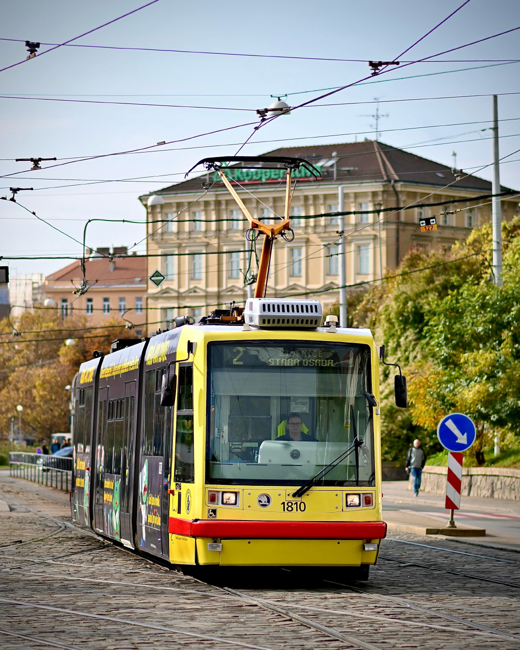 Брно, Škoda 03T6 Anitra № 1810