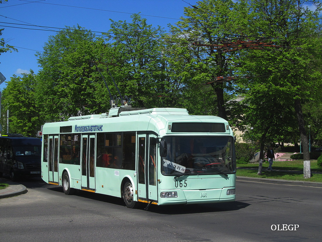 Могилёв, БКМ 32102 № 065