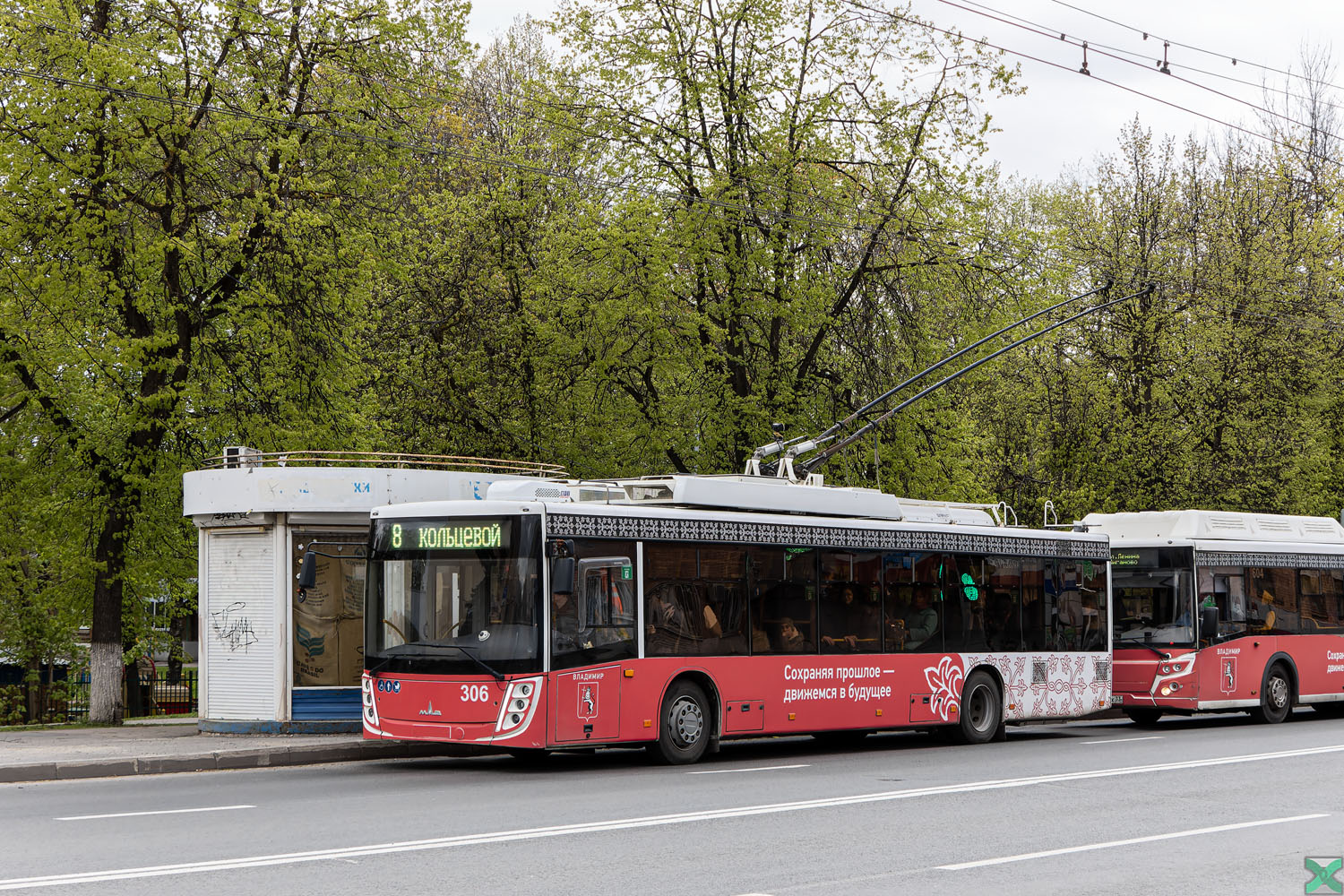 Владимир, МАЗ-203Т20 № 306