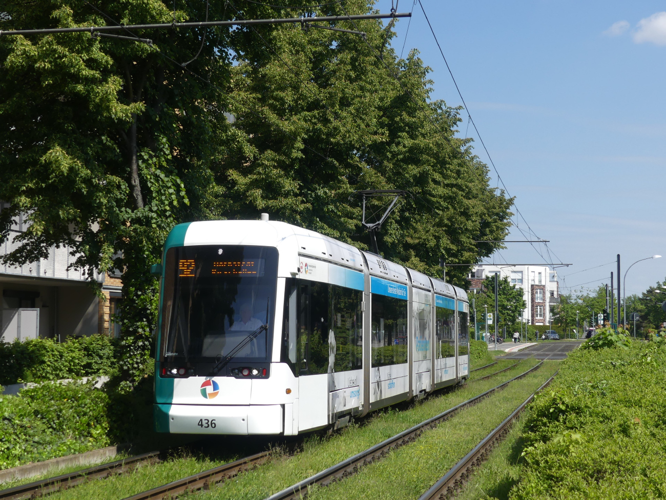 Потсдам, Stadler Variobahn № 436