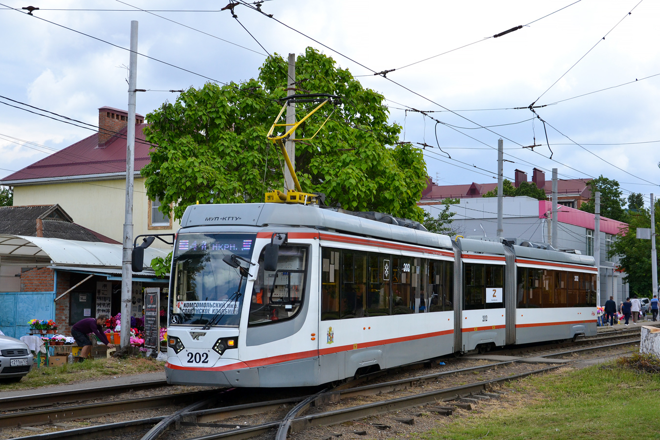 Краснодар, 71-631-03 № 202