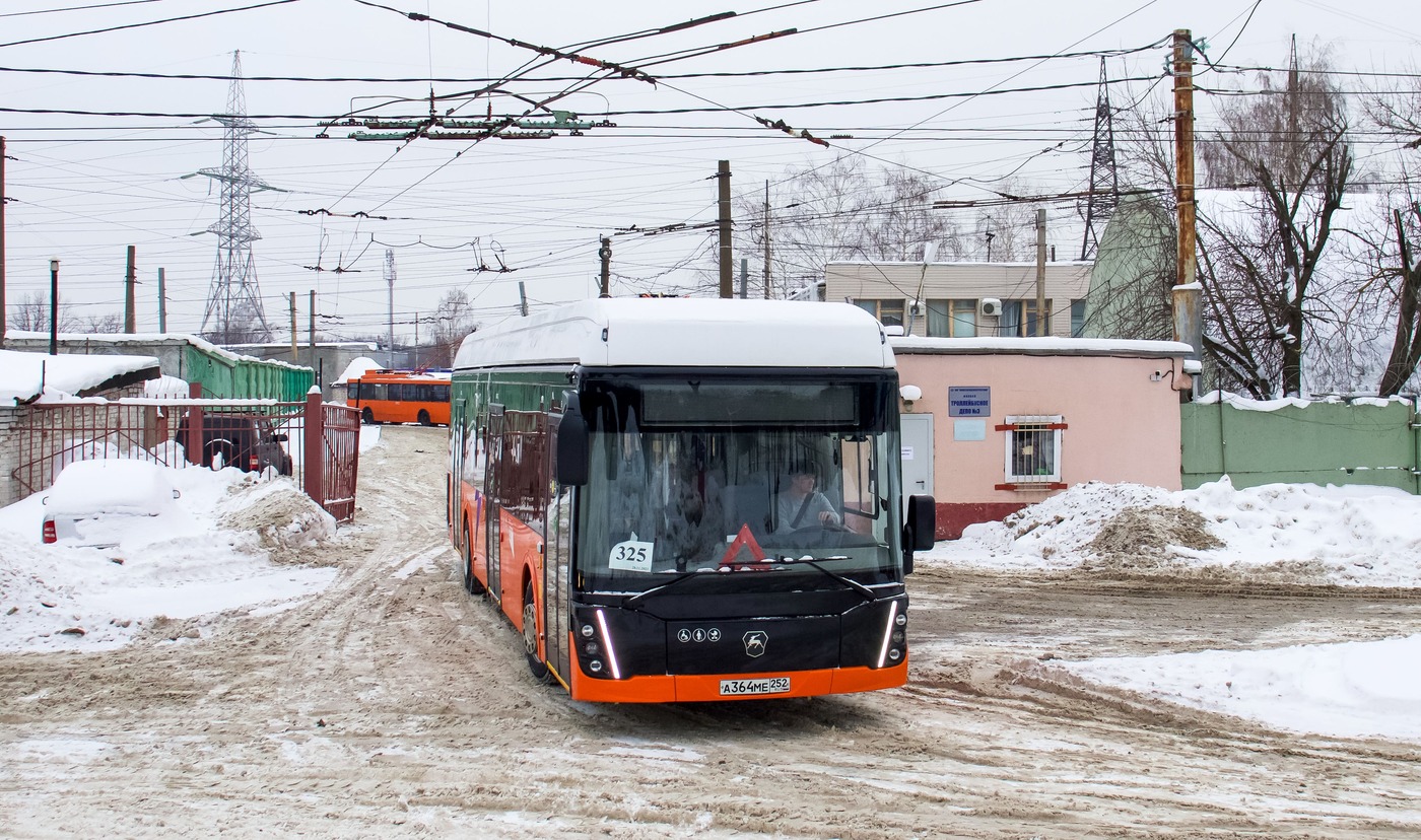 Нижний Новгород, ЛиАЗ-6274 № 3009