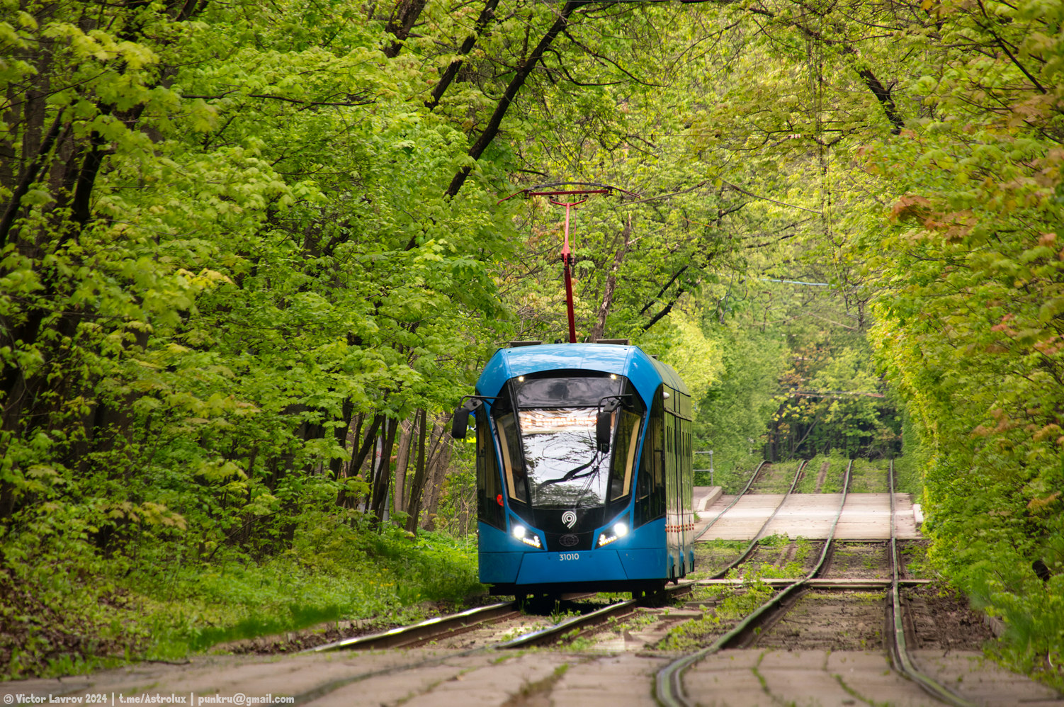 Москва, 71-931М «Витязь-М» № 31010