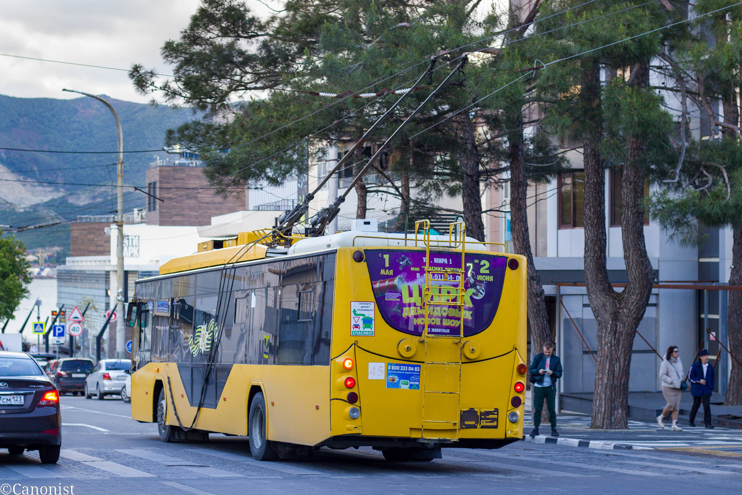 Новороссийск, ВМЗ-5298.01 «Авангард» № 45
