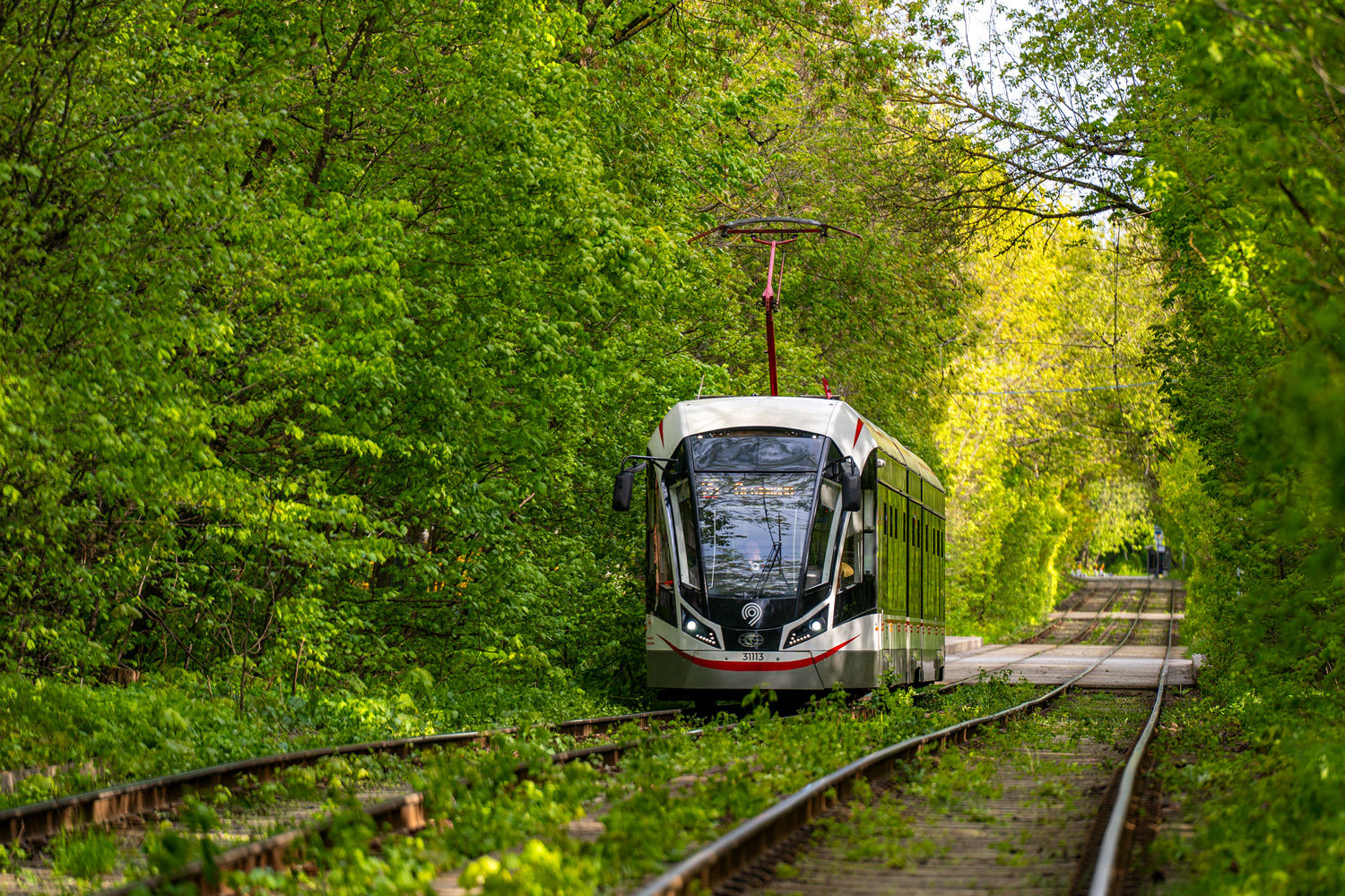 Москва, 71-931М «Витязь-М» № 31113