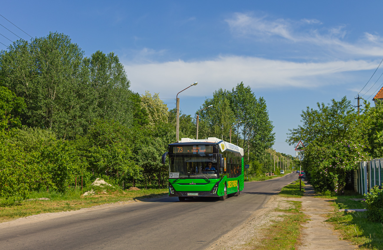 Гомель, МАЗ-303Е10 № 1858