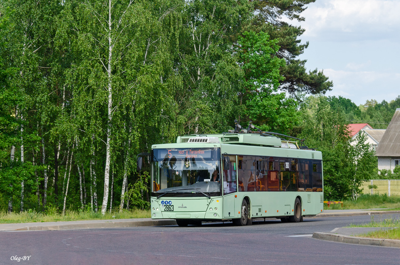 Гомель, МАЗ-203Т70 № 2863; Гомель — Движение на участках с использованием автономного хода