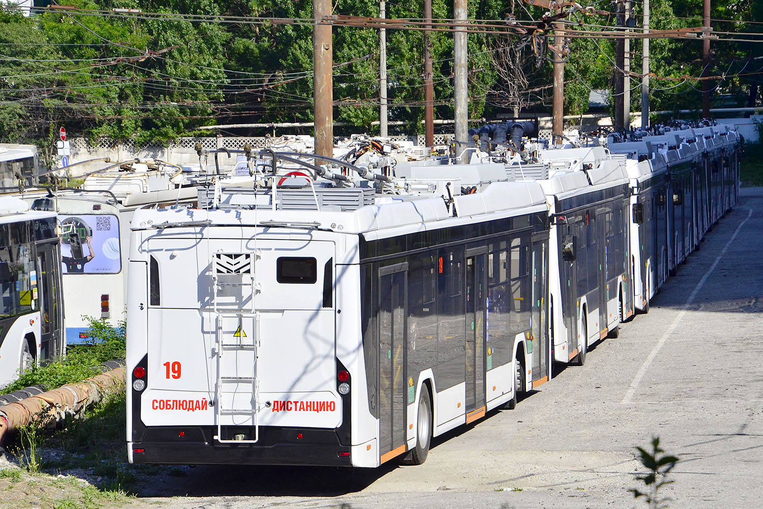 Новороссийск, БКМ 32100D «Ольгерд» № 19