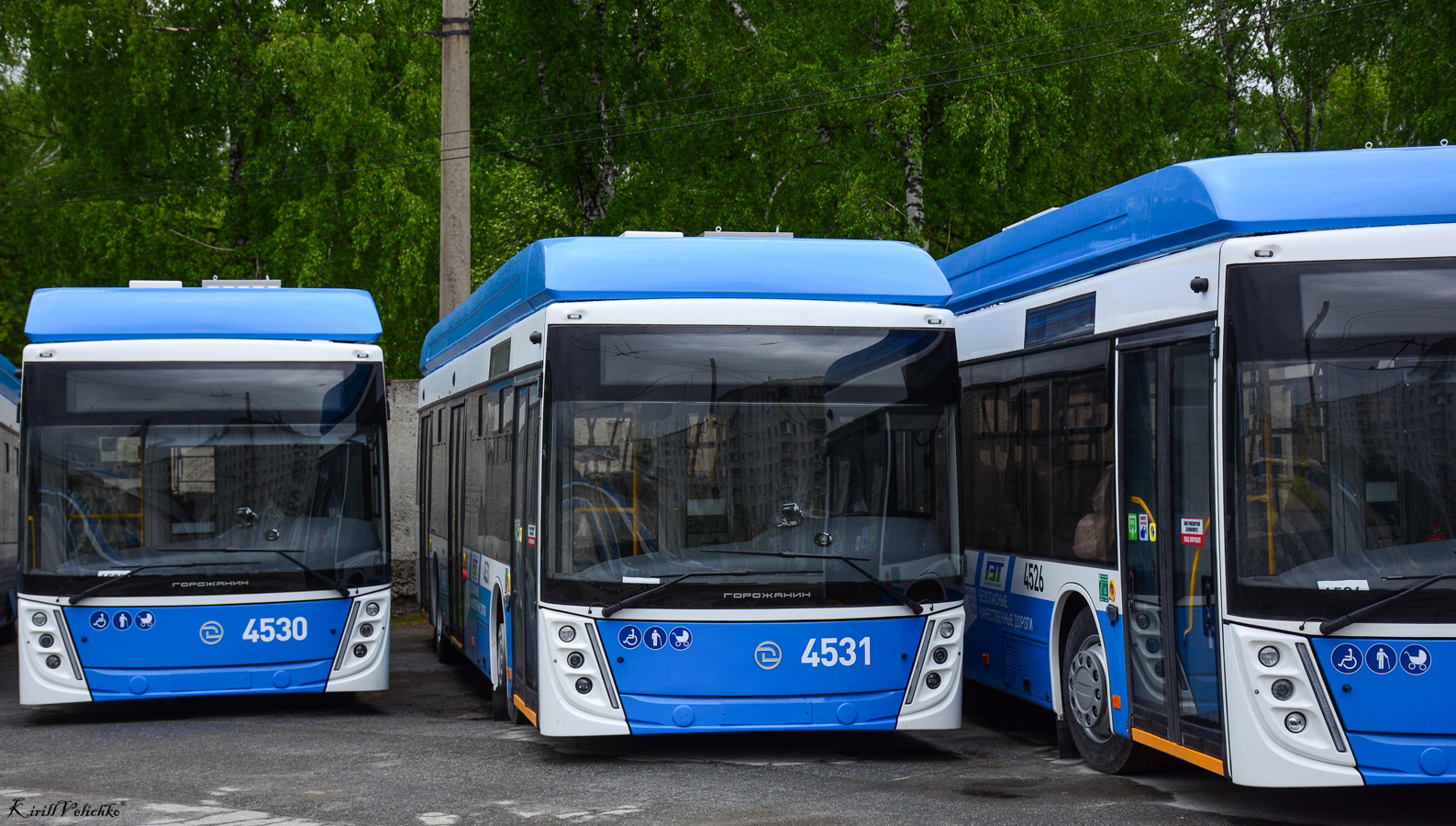 Novosibirsk, UTTZ-6241.01 “Gorozhanin” № 4531