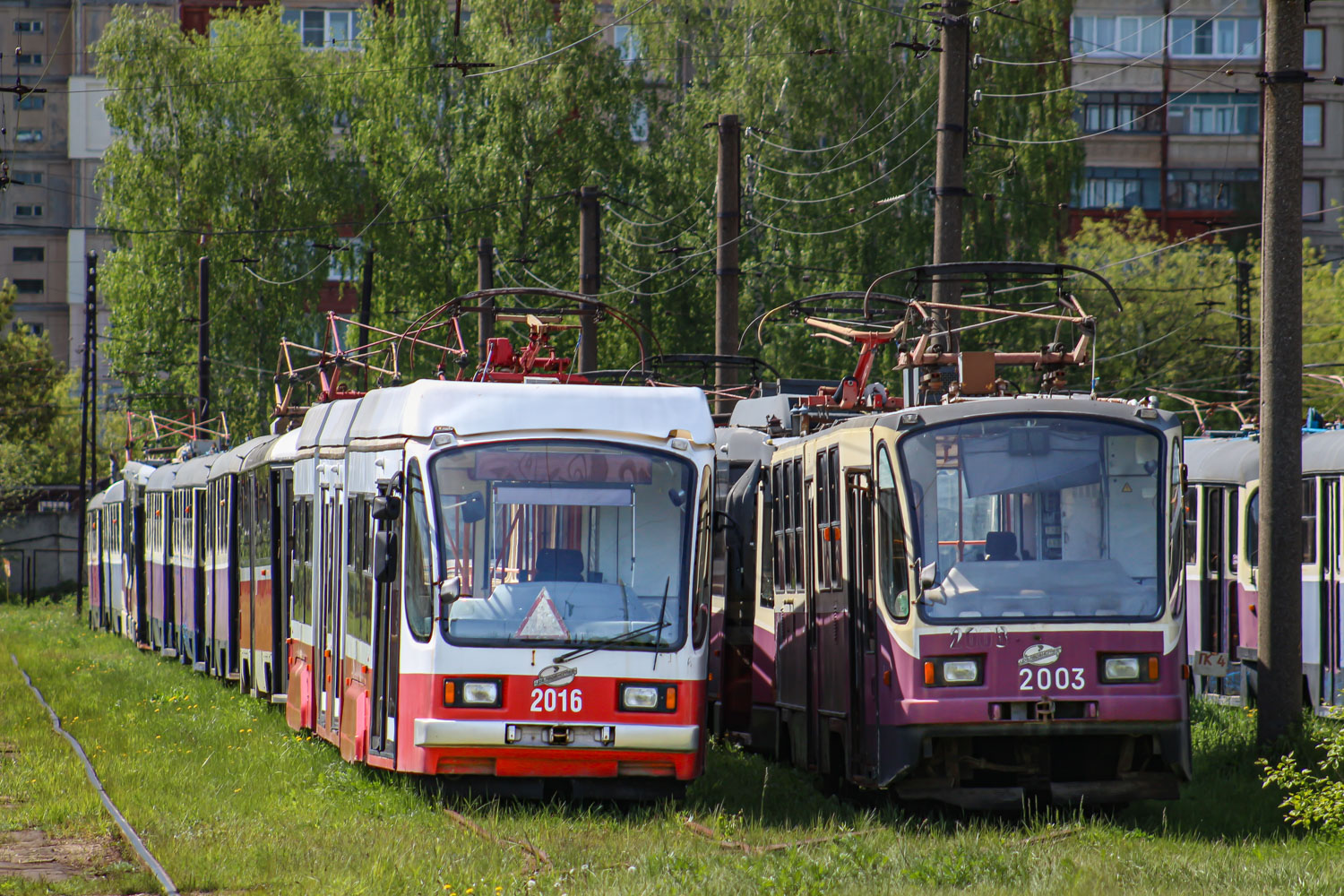 Нижний Новгород, 71-409 № 2016; Нижний Новгород, 71-403 № 2003