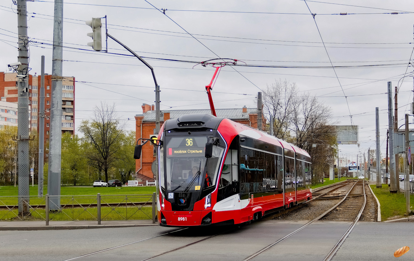 Санкт-Петербург, 71-931М «Витязь-М» № 8981