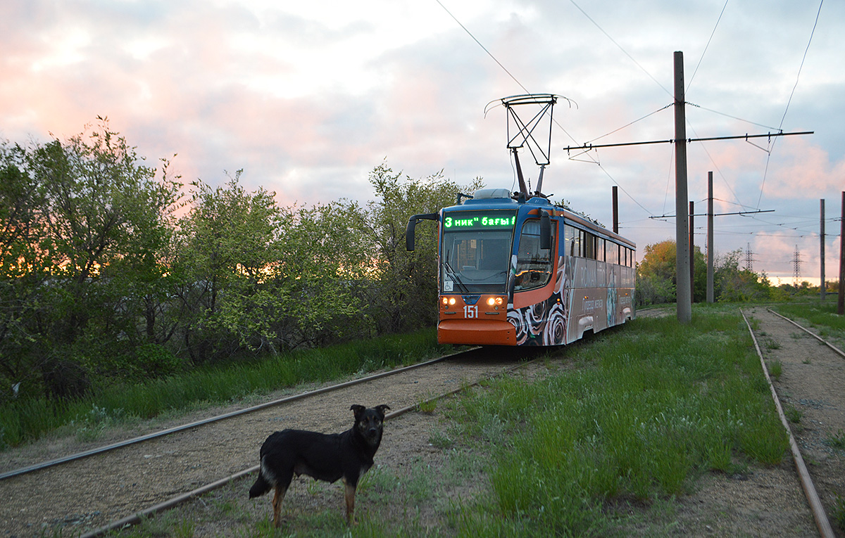Павлодар, 71-623-02 № 151; Транспорт и животные
