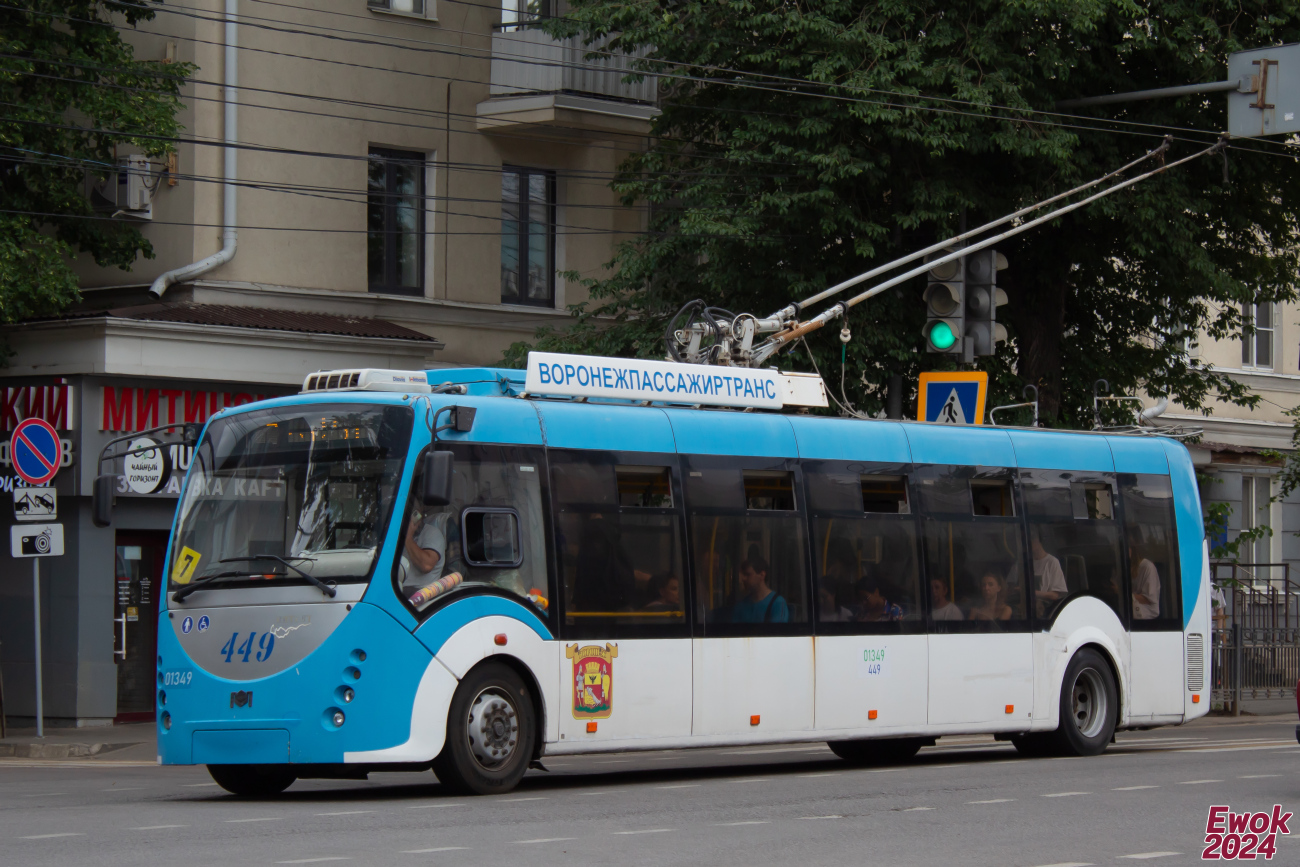 Воронеж, БКМ 420030 «Витовт» № 01349 (449)