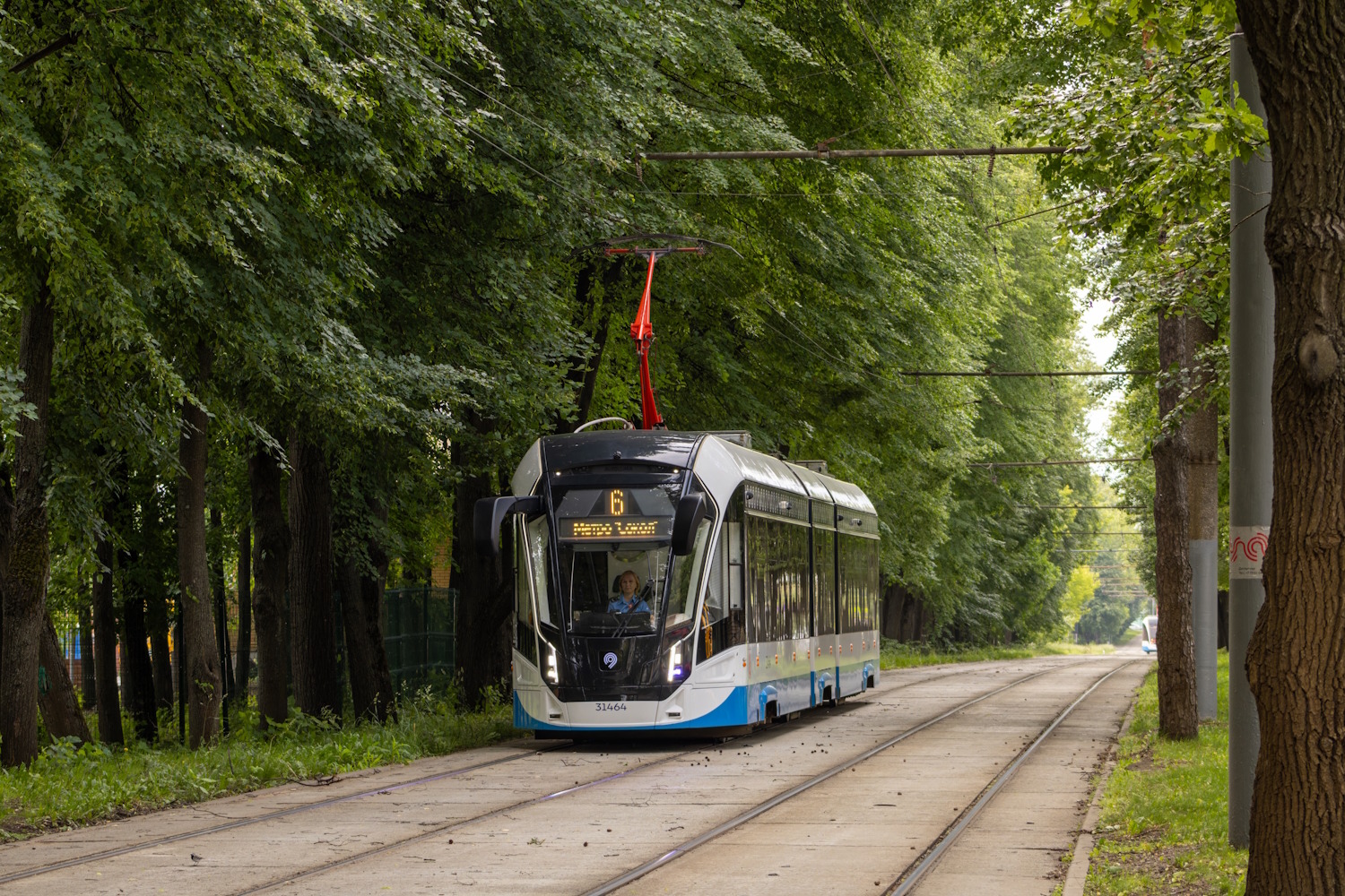 Москва, 71-931М «Витязь-М» № 31464