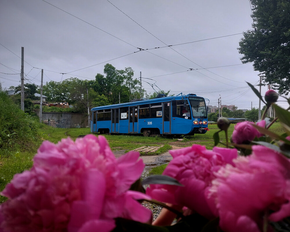 Владивосток, 71-619К № 335; Владивосток — Разные фотографии