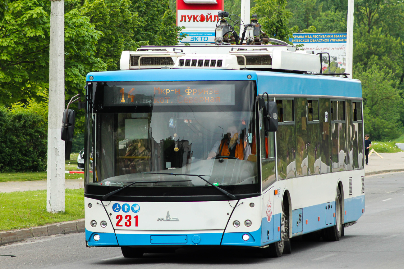 Витебск, МАЗ-203Т70 № 231