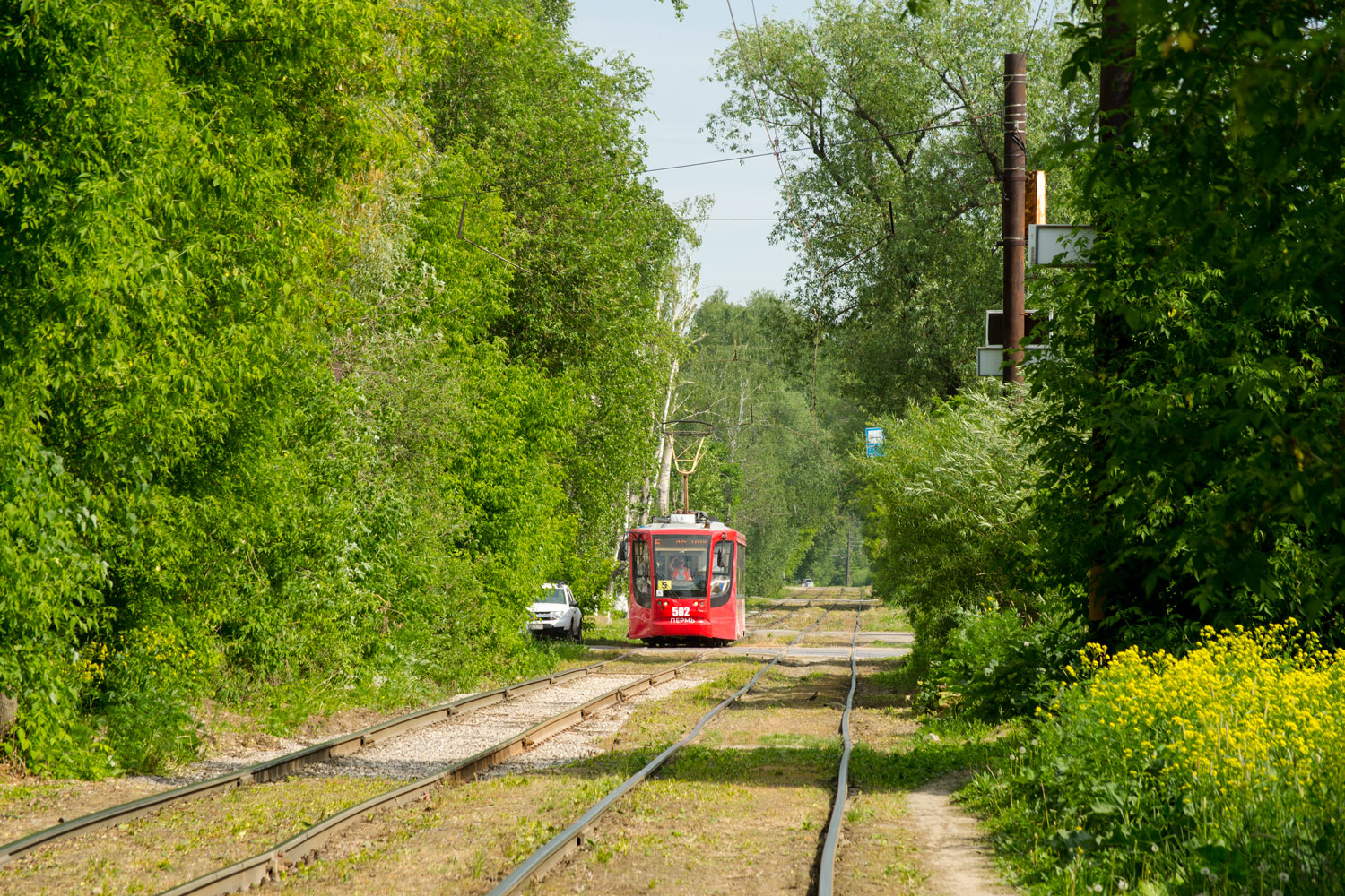 Пермь, 71-623-01 № 502