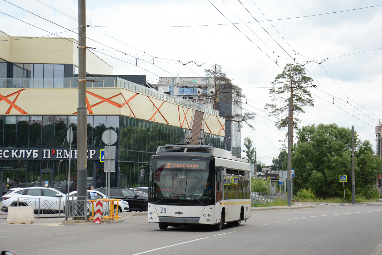 Видне, МАЗ-206Т № 28