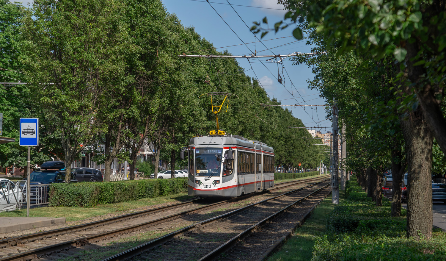 Краснодар, 71-631-03 № 202