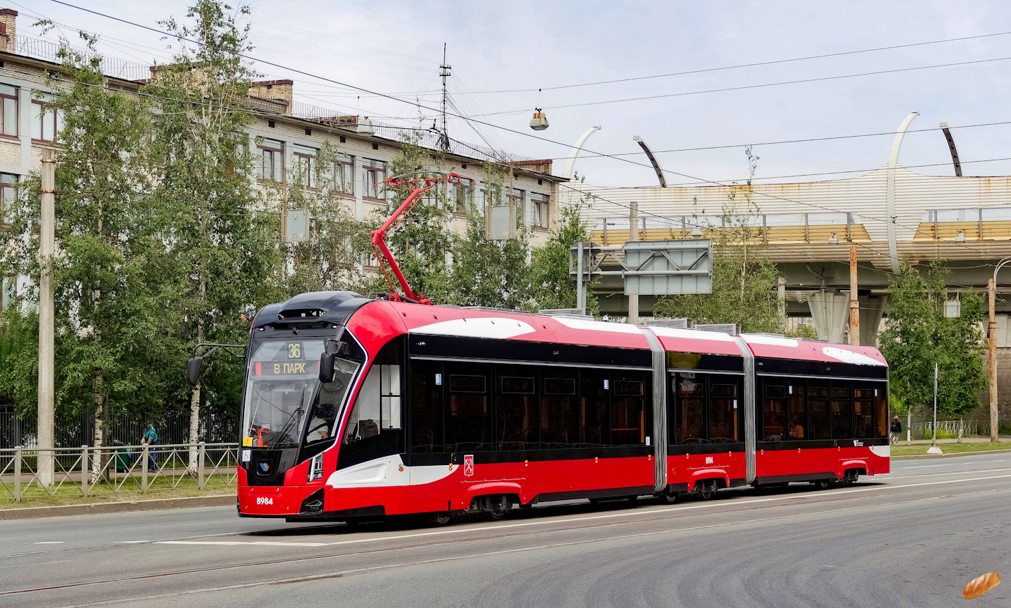 Санкт Петербург, 71-931М «Витязь-М» № 8984