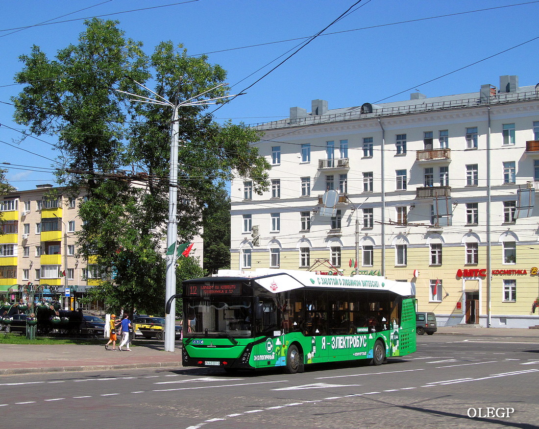 Витебск, МАЗ-303Е10 № АА Е001-2