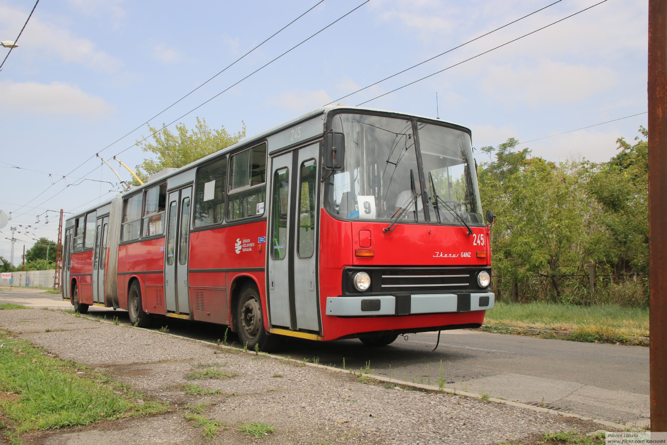 Seghedin, Ikarus 280.94 Nr. 245