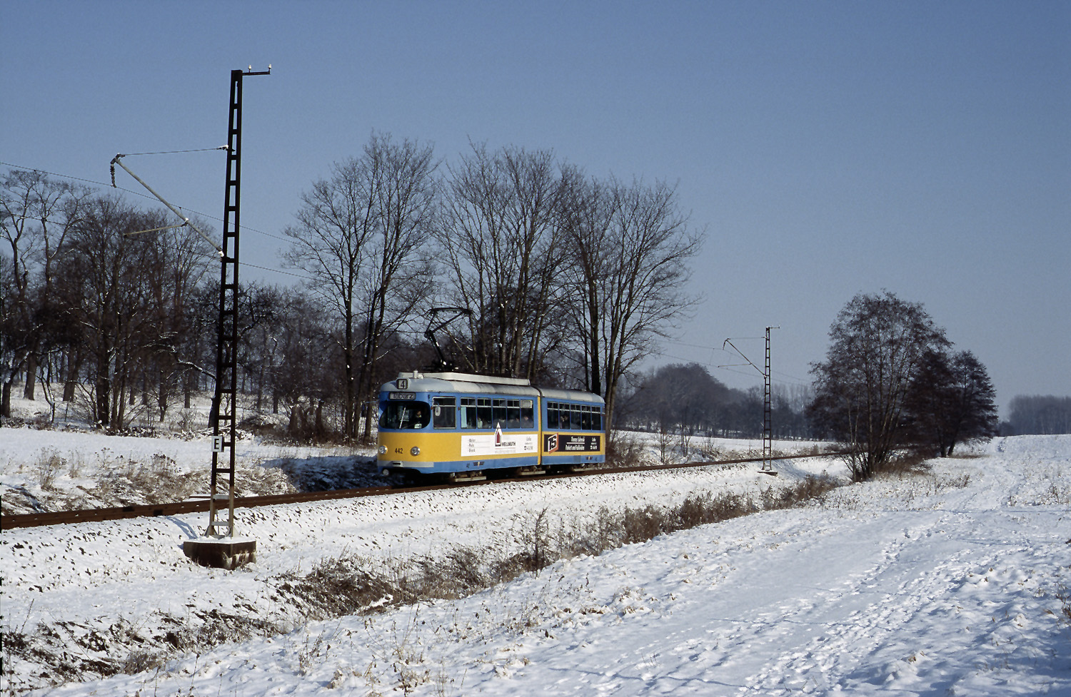 Гота, Duewag GT6 № 442