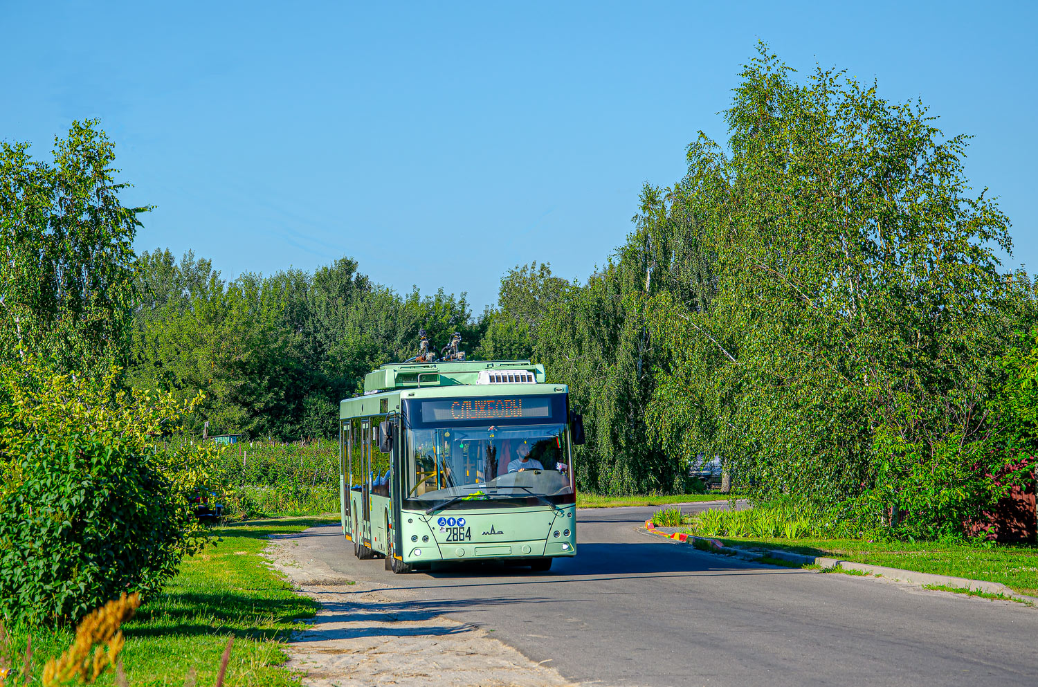 Гомель, МАЗ-203Т70 № 2864; Гомель — Движение на участках с использованием автономного хода