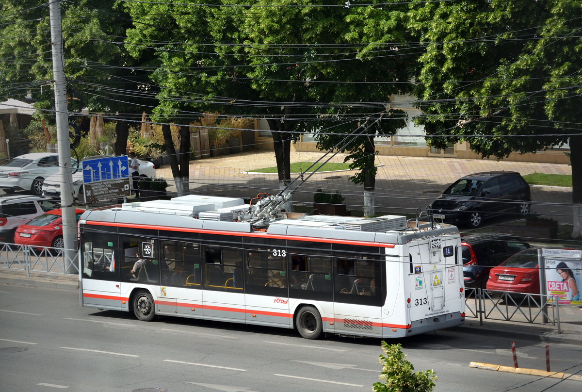 Краснодар, БКМ 32100D «Ольгерд» № 313