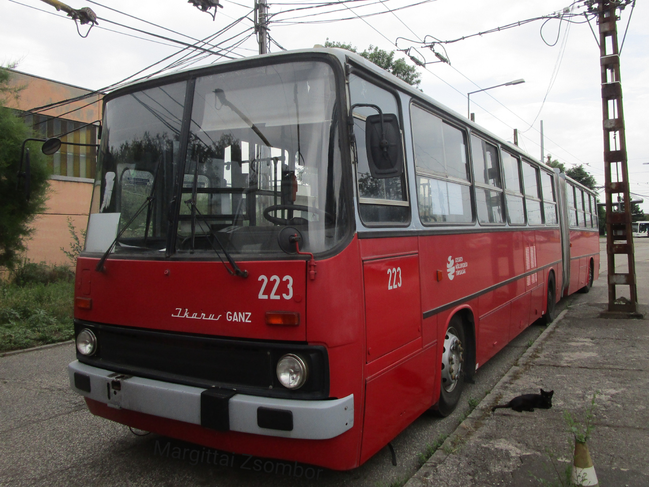 Сегед, Ikarus 280.94 № 223