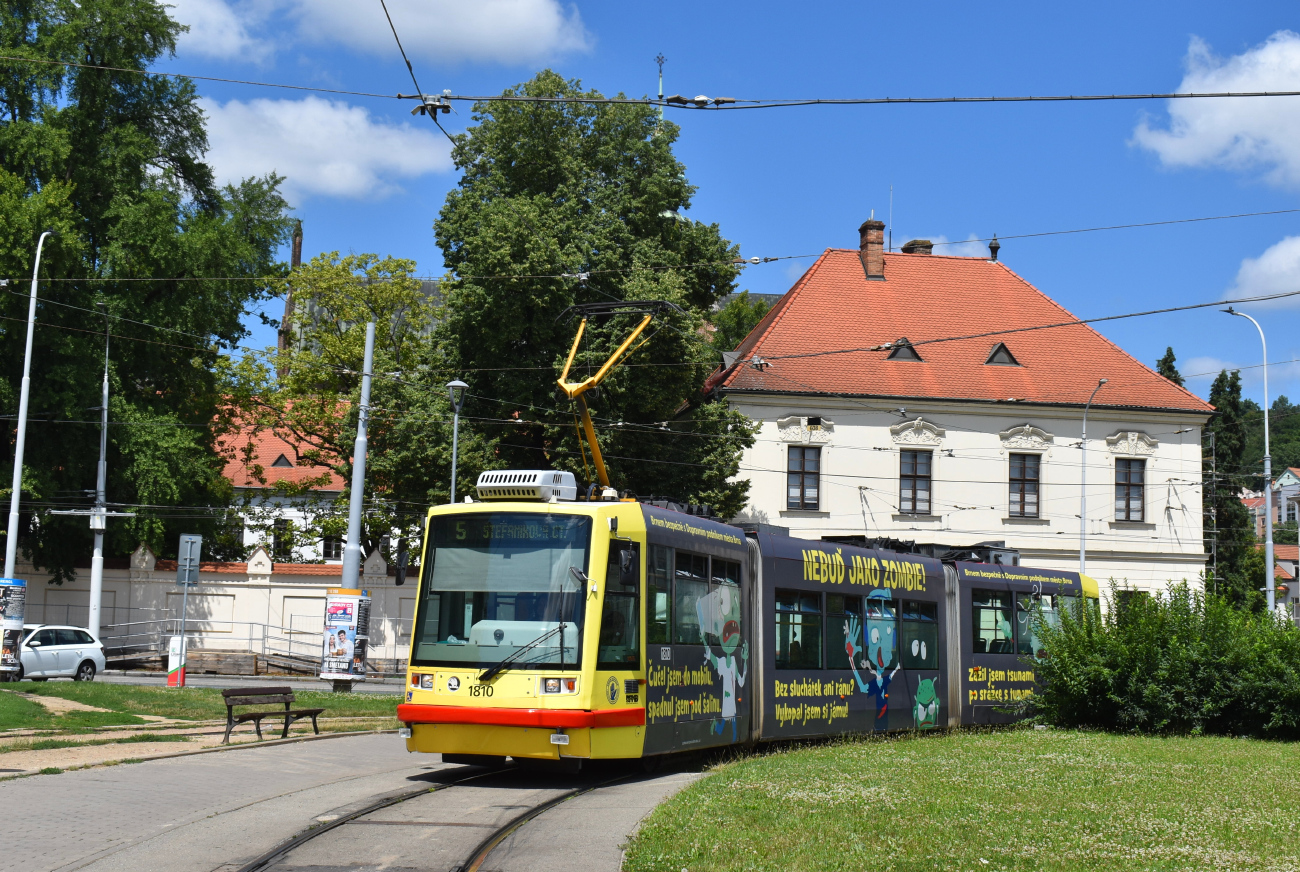 Брно, Škoda 03T6 Anitra № 1810