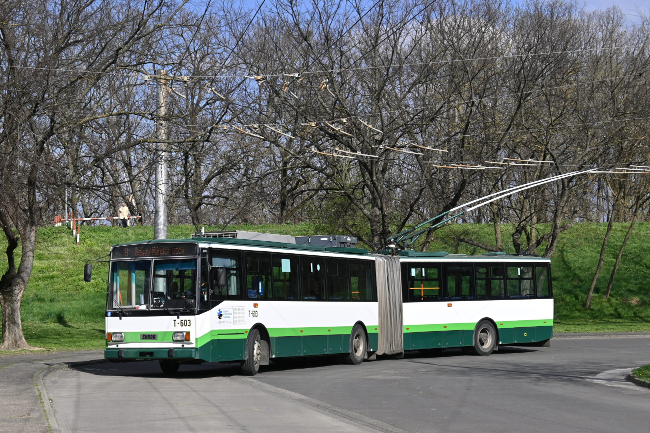 Сегед, Škoda 15Tr03/6 № T-603