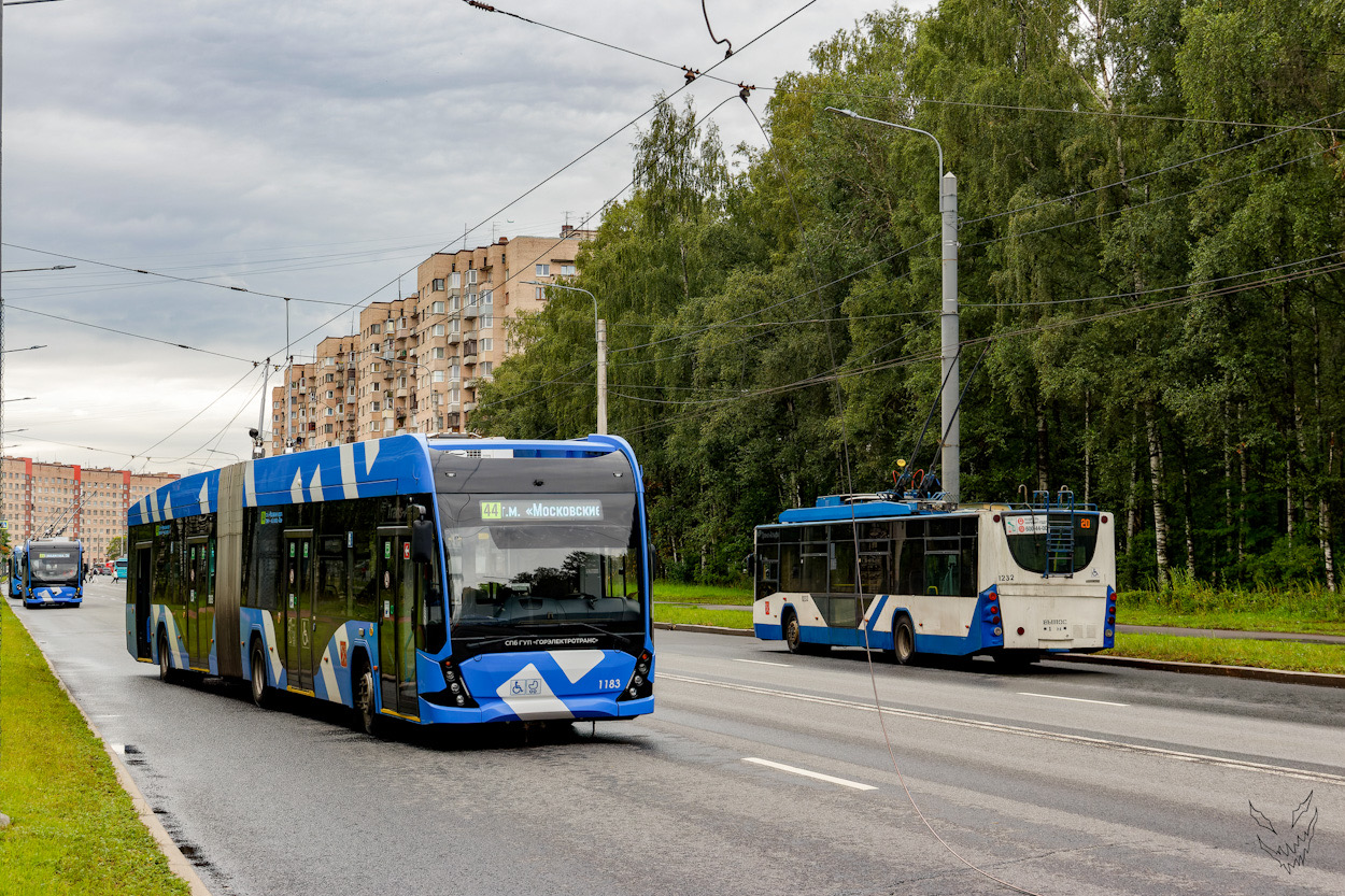 Санкт-Петербург, ВМЗ-6215.01 «Премьер» № 1183; Санкт-Петербург — Происшествия