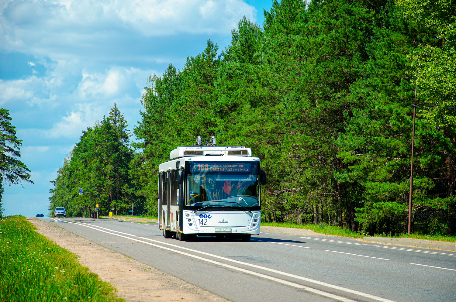 Могилёв, МАЗ-203Т70 № 142