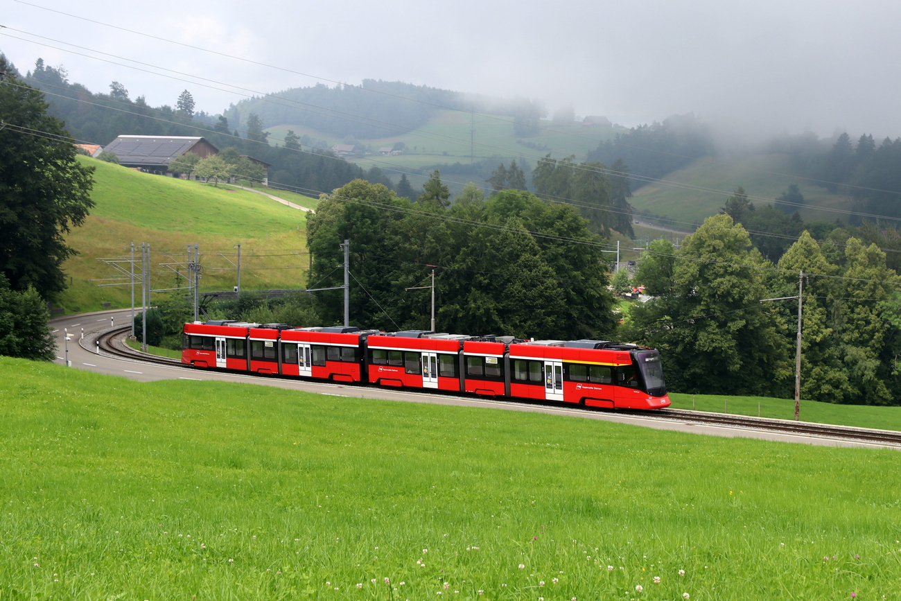 Санкт-Галлен, Stadler Tango ABe 8/12 № 4001-4101