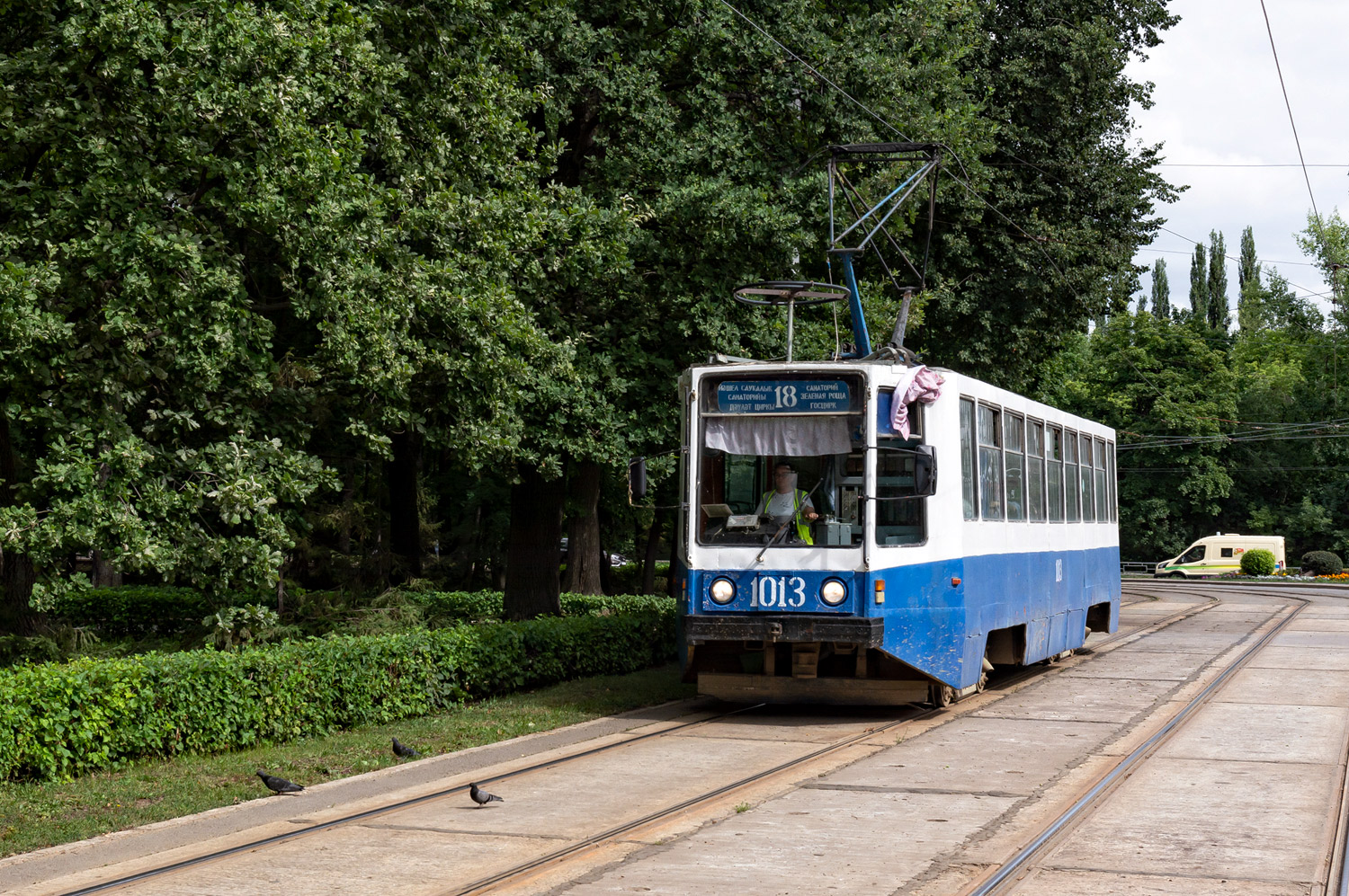 Уфа, 71-608К № 1013; Транспорт и животные