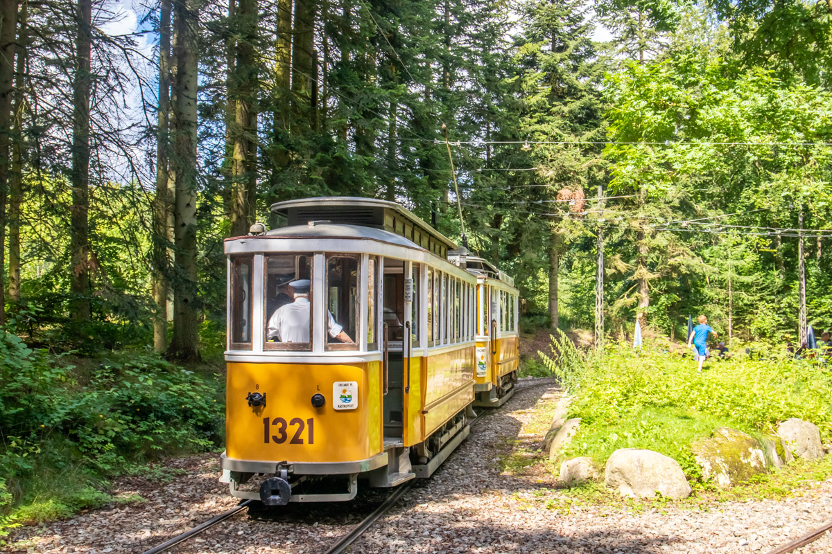 Скьолленесхольм, Двухосный прицепной Scandia № 1321