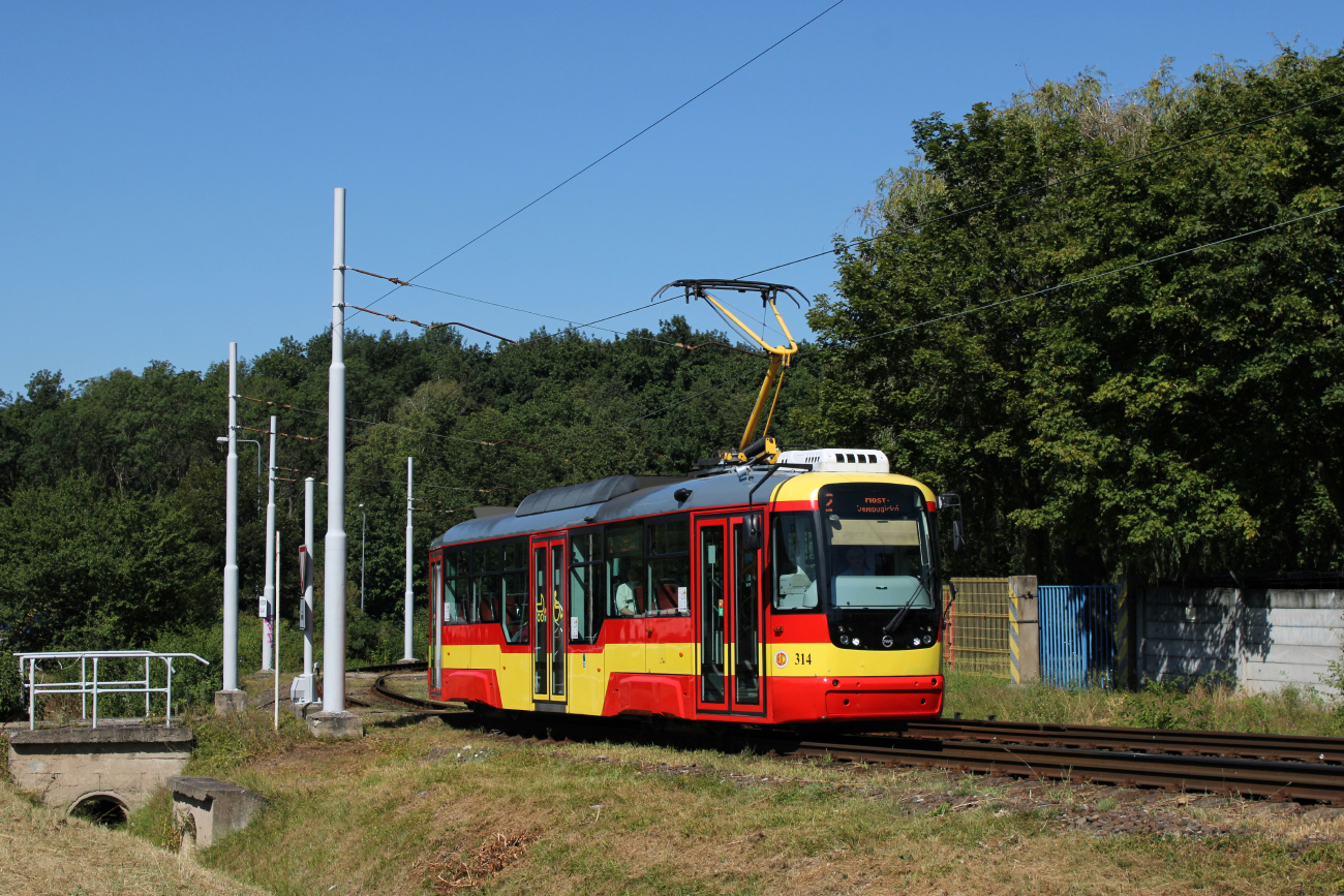 Мост ― Литвинов, Vario LF+ № 314