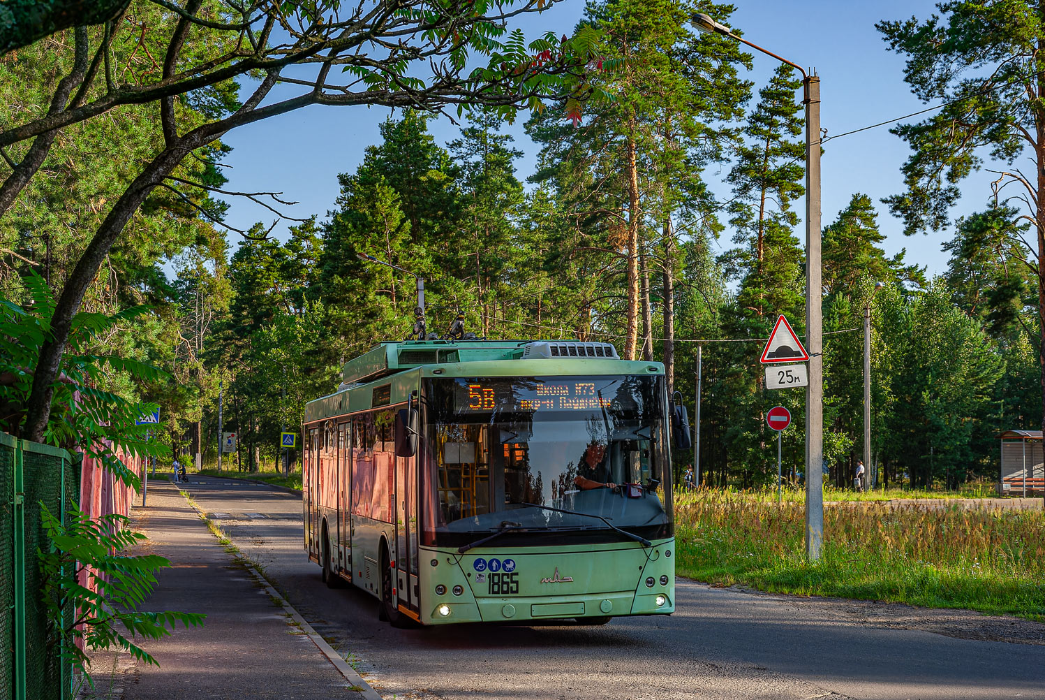 Гомель, МАЗ-203Т70 № 1865; Гомель — Движение на участках с использованием автономного хода